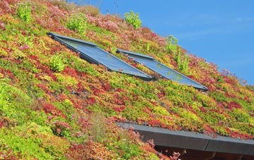 Tredinnick living roof systems